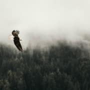 Foto: Unsplash
